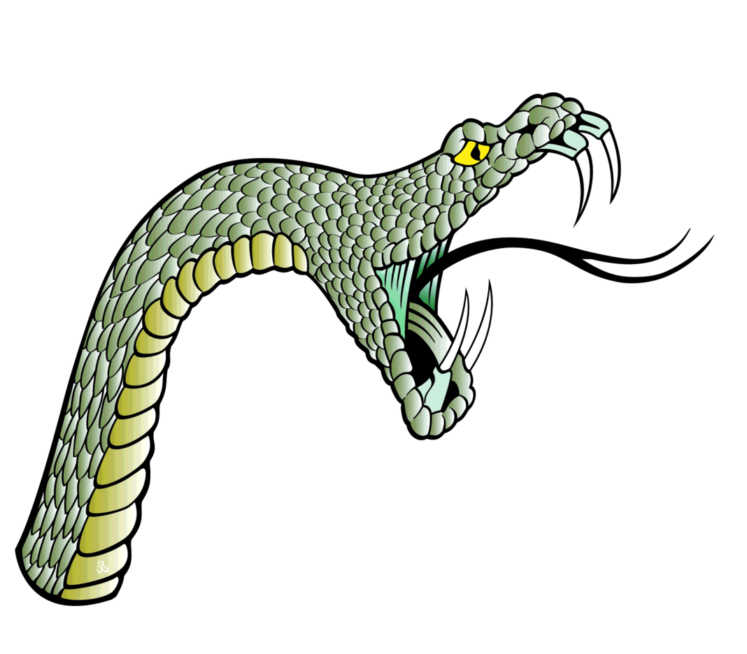 Snake Head Vector Freevectors 1068x936 Snake Head Vector Freevectors
