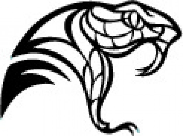 Snake Head Vectors, Photos And Free Download 626x463 Snake Head Vectors, Photos And Free Download