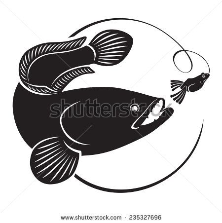 Snakehead Fish Stock Vectors Vector Clip Art Shutterstock 450x452 Snakehead Fish Stock Vectors Vector Clip Art Shutterstock