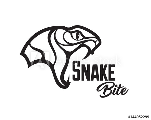 Vector Snake Head Sports Logo Illustration Mascot, T Shirt 500x400 Vector Snake Head Sports Logo Illustration Mascot, T Shirt