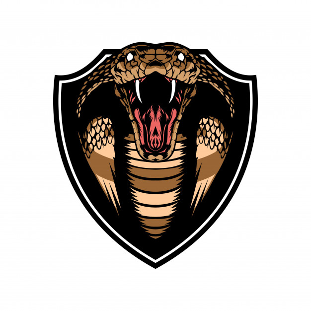 Cobra Snake Head Trophy Vector Premium Download 626x626 Cobra Snake Head Trophy Vector Premium Download