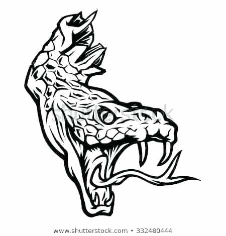 Snake Head Drawings 450x470 Snake Head Drawings