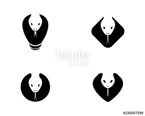 Snake Head Logo Template Stock Image And Royalty Free Vector 500x400 Snake Head Logo Template Stock Image And Royalty Free Vector