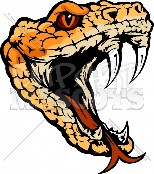 Snake Head Clipart Vector Graphic 521x590 Snake Head Clipart Vector Graphic