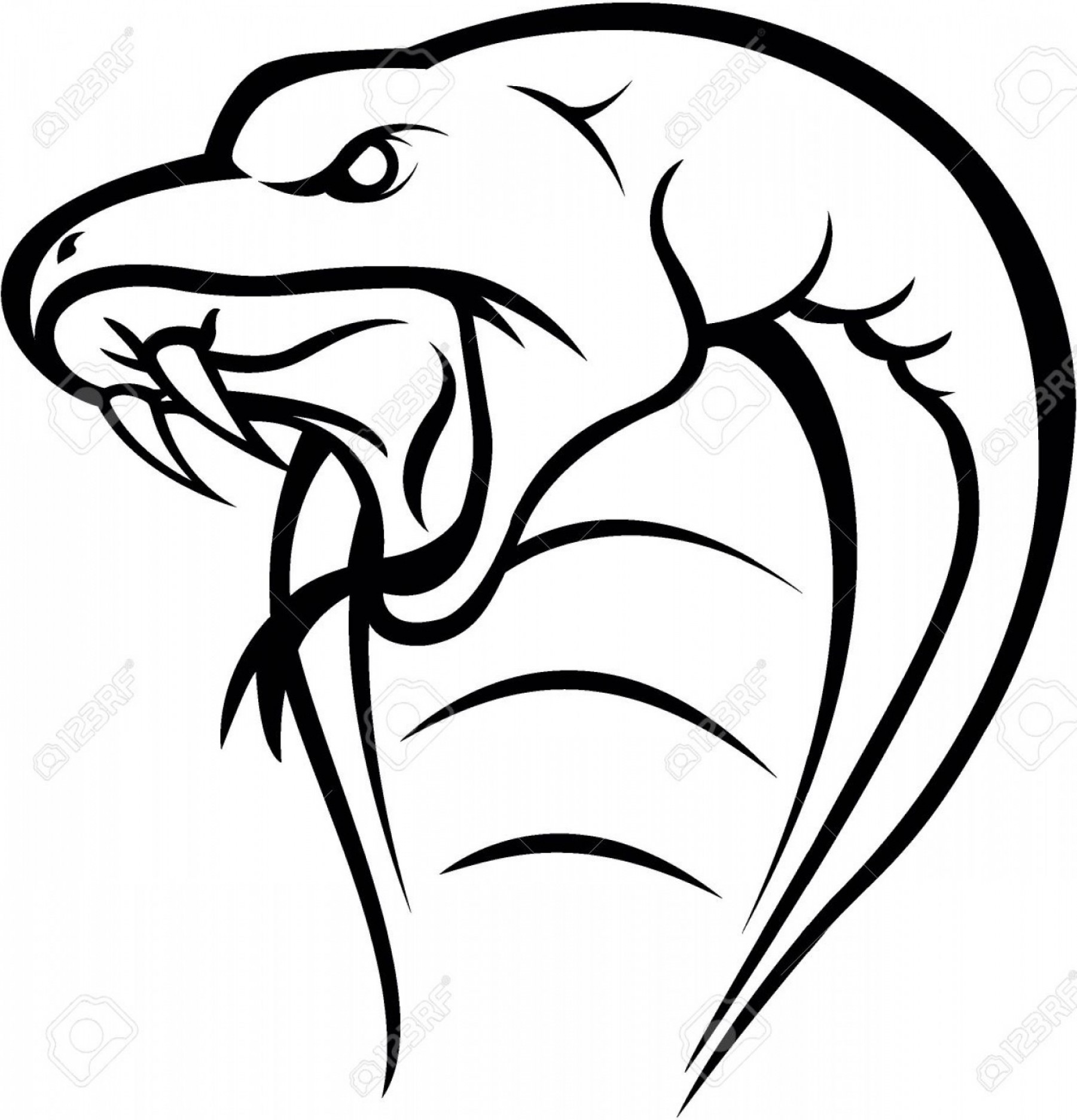 Snake Head Drawing Cobra Snake Head Royalty Free Cliparts Vectors 1801x1872 Snake Head Drawing Cobra Snake Head Royalty Free Cliparts Vectors