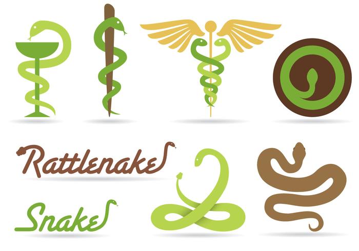 Snake Free Vector Art 700x490 Snake Free Vector Art