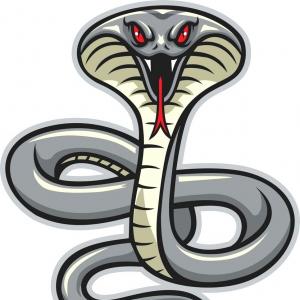 Cobra Snake Logo Cobra Snake Vector Image Shelby Cobra Super Snake 300x300 Cobra Snake Logo Cobra Snake Vector Image Shelby Cobra Super Snake