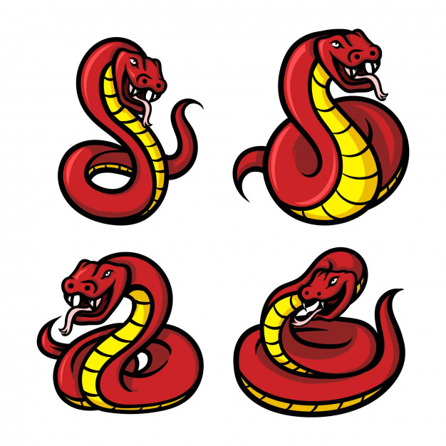 Red Snake Mascots Logo Vector Premium Download 626x626 Red Snake Mascots Logo Vector Premium Download