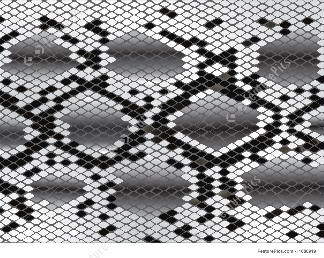 Abstract Patterns Snake Skin In Black And White 1300x1037 Abstract Patterns Snake Skin In Black And White