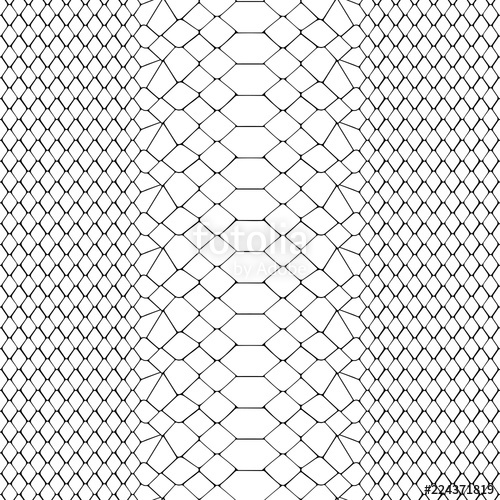 Snake Skin Black And White Seamless Pattern Stock Image 500x500 Snake Skin Black And White Seamless Pattern Stock Image