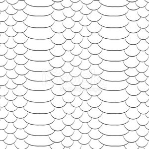 Snake Skin Seamless Pattern Black And White Stock Vectors 300x300 Snake Skin Seamless Pattern Black And White Stock Vectors