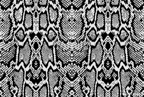 Snake Python Skin Texture Seamless Pattern Black On White 500x340 Snake Python Skin Texture Seamless Pattern Black On White