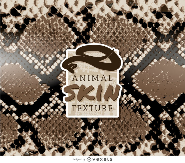 Snake Skin Pattern 646x570 Snake Skin Pattern