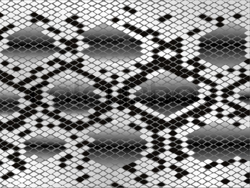 Snake Skin Pattern In Black And White Stock Vector Colourbox 800x602 Snake Skin Pattern In Black And White Stock Vector Colourbox