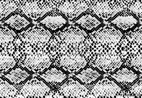 Snake Skin Pattern Texture Repeating Seamless Monochrome Black 500x346 Snake Skin Pattern Texture Repeating Seamless Monochrome Black