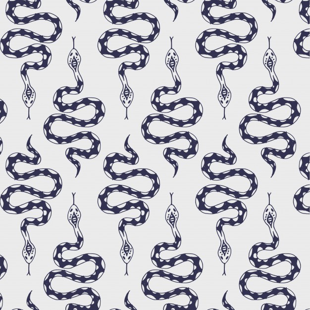 Blue Snake Pattern Vector Free Download 626x626 Blue Snake Pattern Vector Free Download