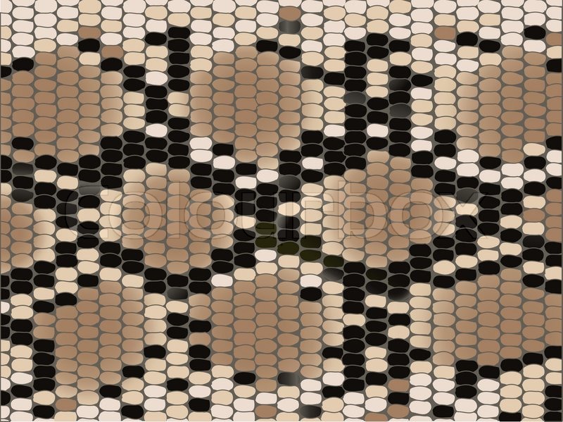 Snake Skin With The Pattern Lozenge Stock Vector Colourbox 800x599 Snake Skin With The Pattern Lozenge Stock Vector Colourbox