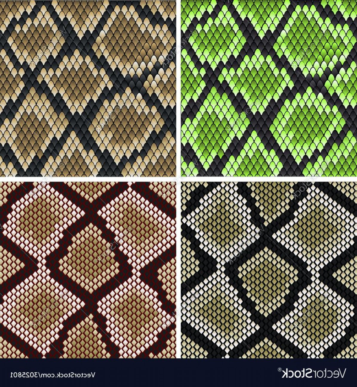 Vector Snake To Draw Studiogrfx 1196x1296 Vector Snake To Draw Studiogrfx