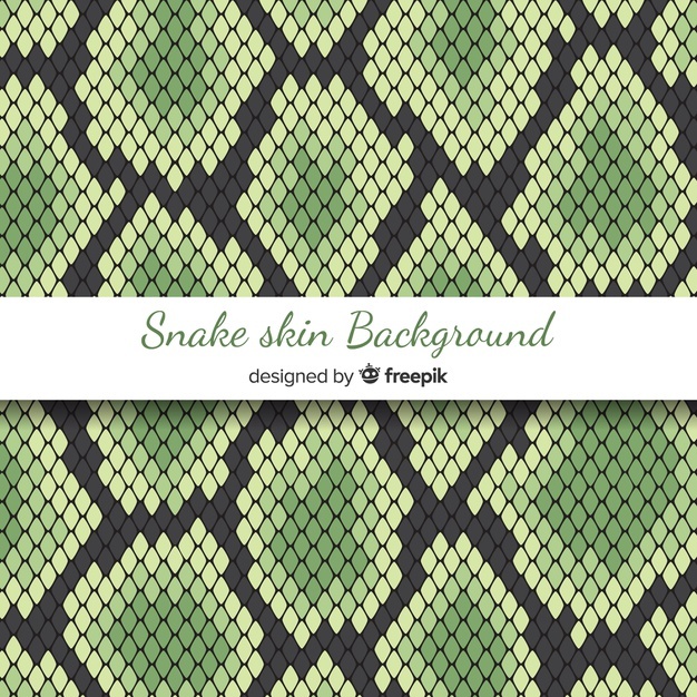 Reptile Vectors, Photos And Free Download 626x626 Reptile Vectors, Photos And Free Download