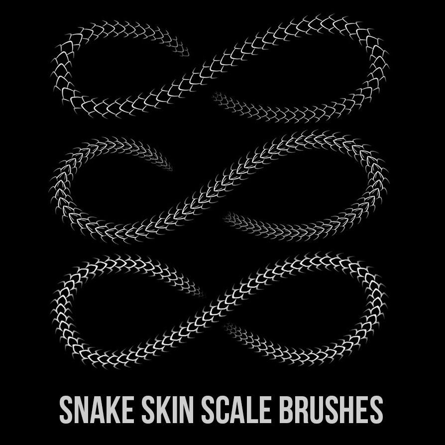 Snake Skin Scale Brushes 894x894 Snake Skin Scale Brushes