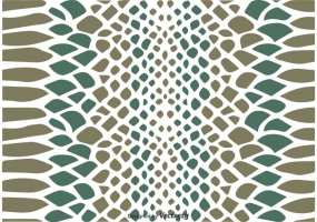 Snake Scale Free Vector Graphic Art Free Download 285x200 Snake Scale Free Vector Graphic Art Free Download