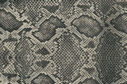 A Collection Of Free Snake Skin Textures For Designers Designbeep 500x330 A Collection Of Free Snake Skin Textures For Designers Designbeep