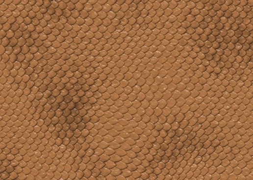 Snake Skin Texture Free Stock Photos Download 516x368 Snake Skin Texture Free Stock Photos Download