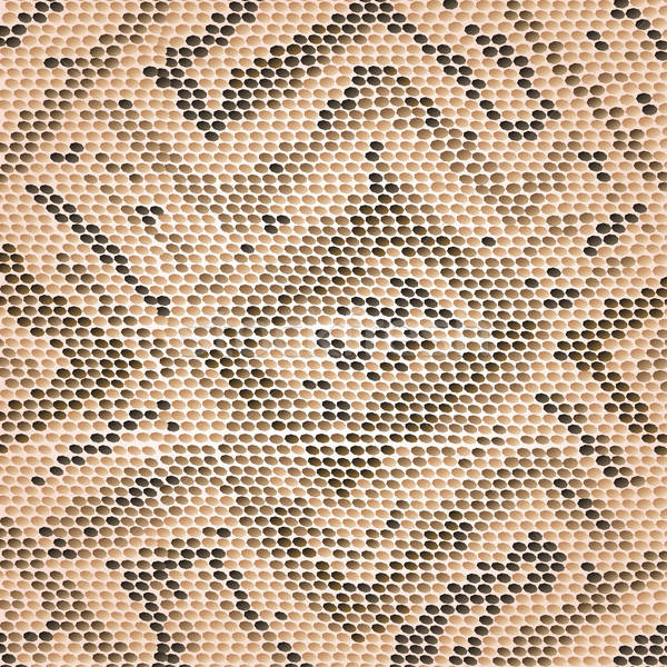 Snake Skin Vector Illustration Jomar Aplaon 600x600 Snake Skin Vector Illustration Jomar Aplaon