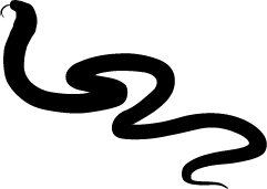 241x171 Snake Silhouette Silhouette Of Snake