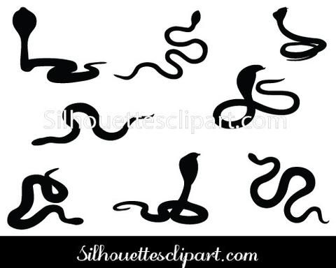 480x384 Snake Silhouette Vector Animals Silhouette Vector Silhouette