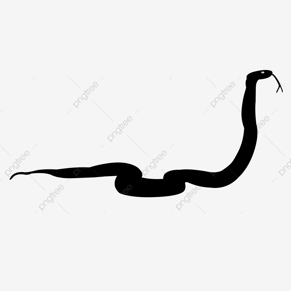 1200x1200 Snake Silhouette Vector Icon Snake, Isolated, Illustration