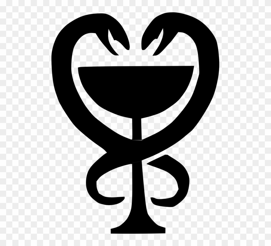 880x800 Snake Vector Png For Kids