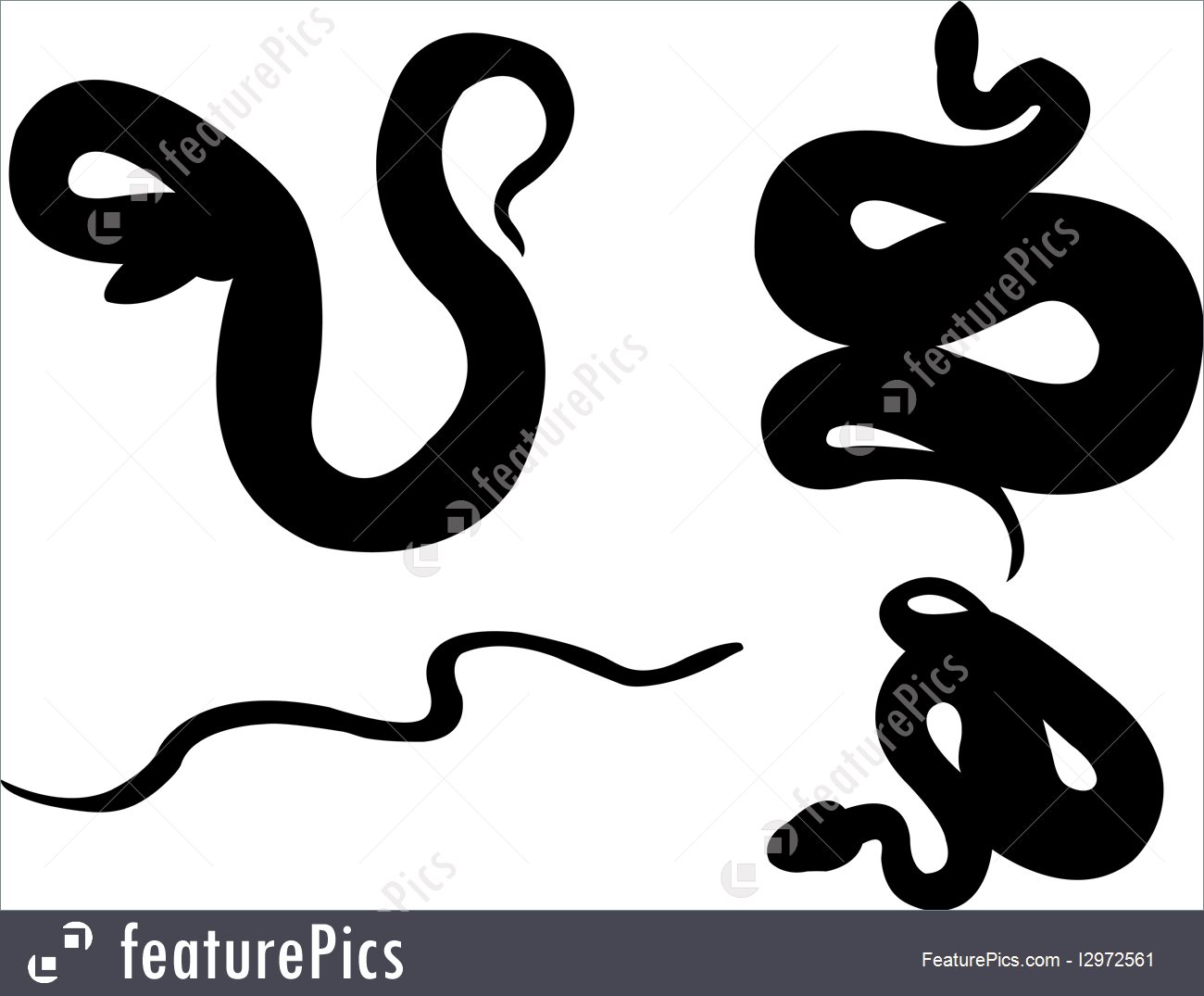 1300x1075 Wildlife Snakes Silhouette