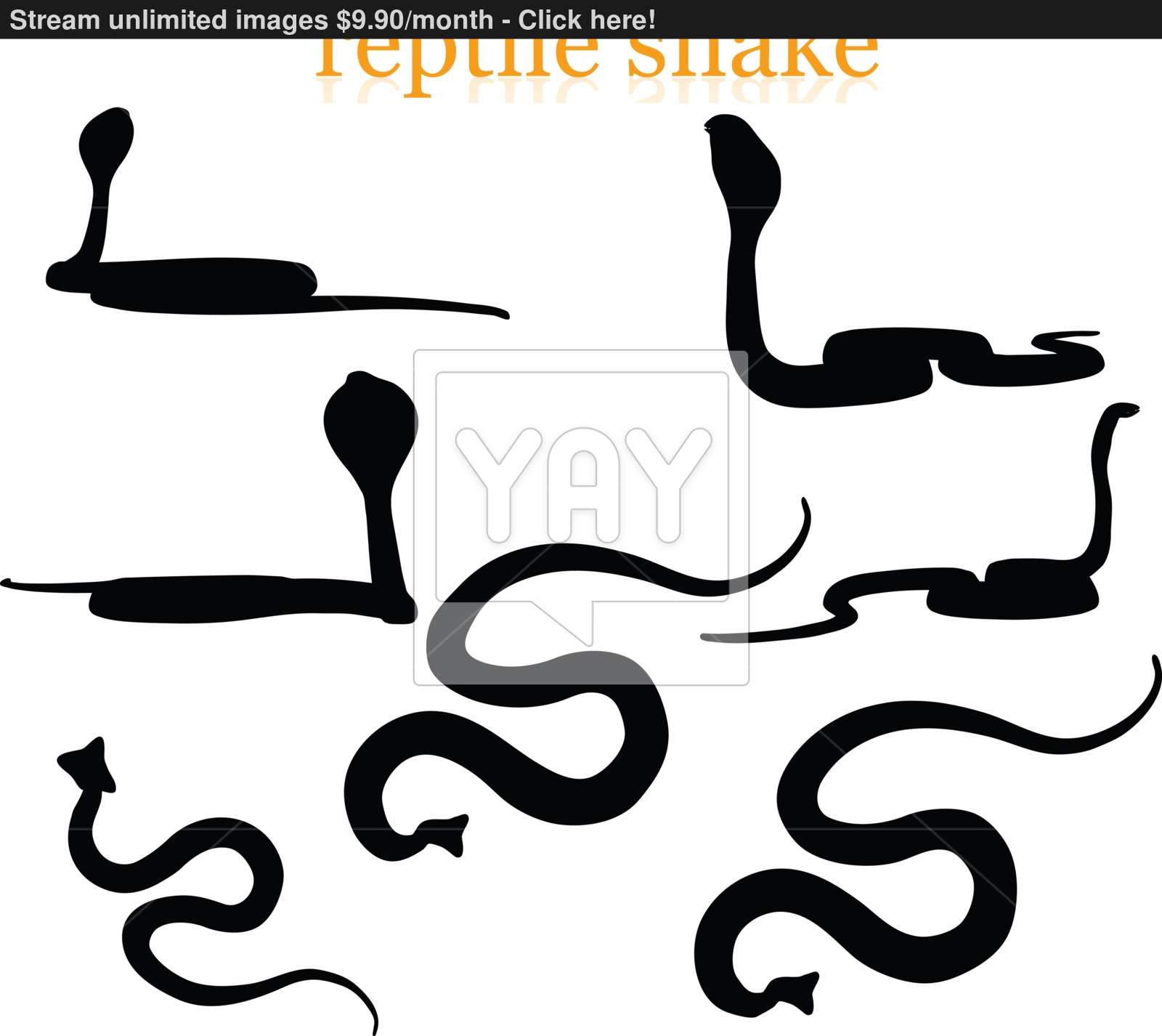 1600x1426 Snake Silhouette Vector