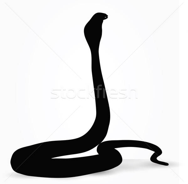 600x587 Snake Silhouette Vector Illustration Benguhan Ipekoz