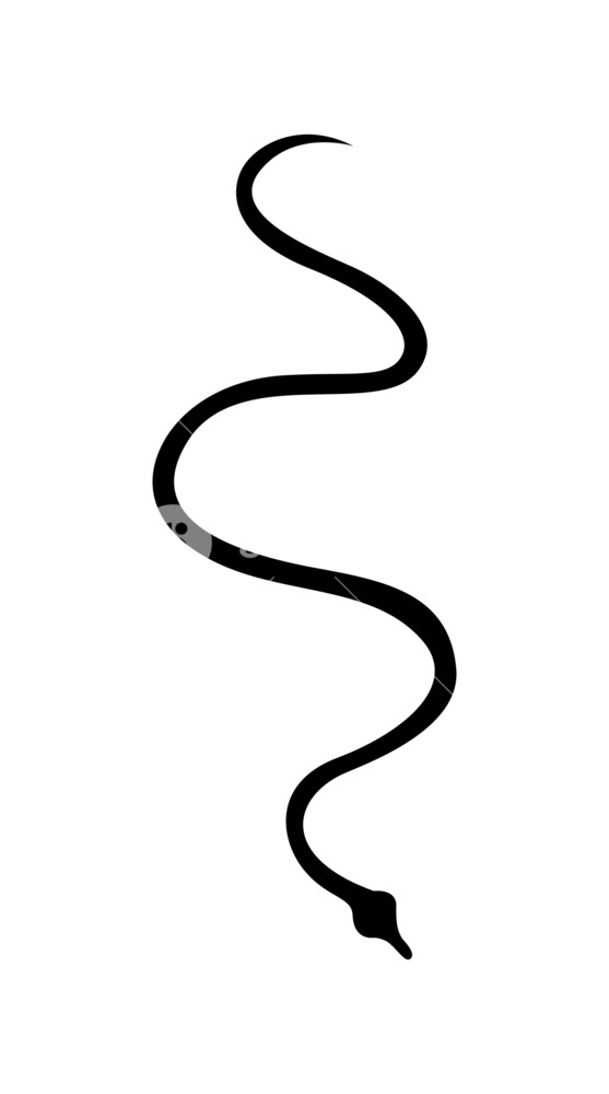 557x1000 Crawling Snake Silhouette Vector Royalty Free Stock Image