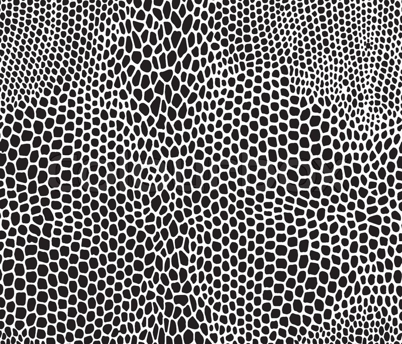 800x686 Seamless Vector Structured Snake Skin Stock Vector Colourbox