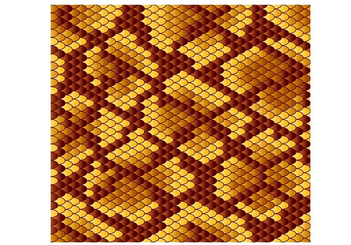 700x490 Snake Skin Pattern Vector