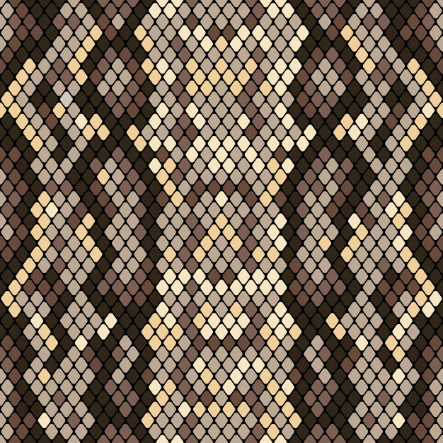 626x626 Snakeskin Seamless Pattern Vector Premium Download