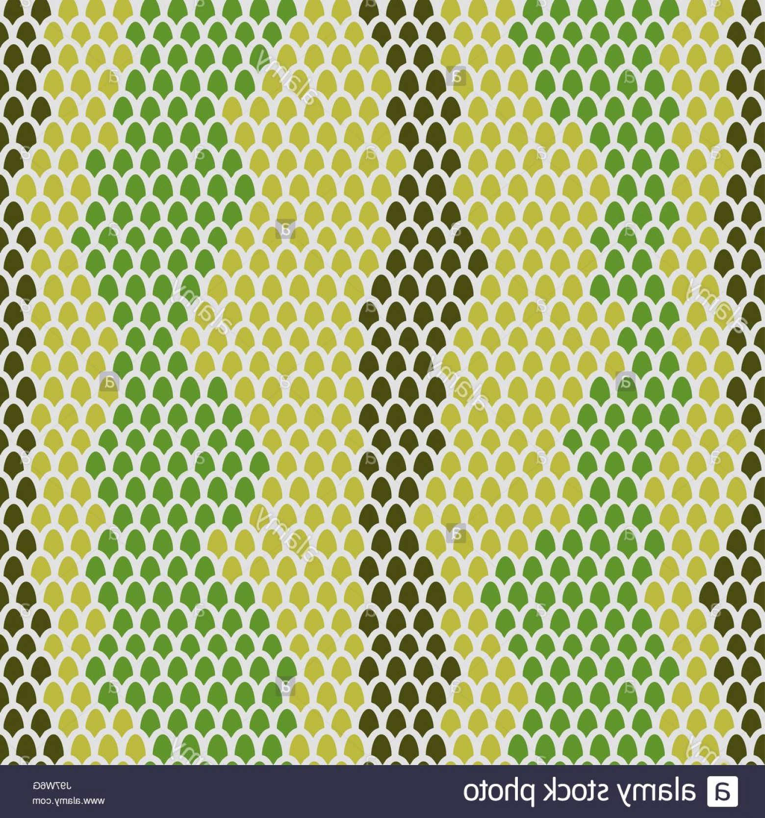 1560x1668 Stock Photo Snake Skin Seamless Pattern Vector Background Leather