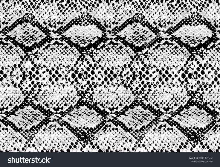 736x558 Vector Texture Snake Skin Pattern Texture Repeating Seamless