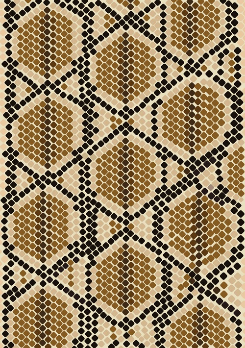 500x710 Vector Set Of Snake Skin Pattern Elements Download My Free
