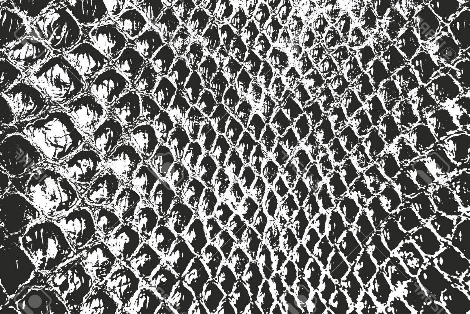 1560x1044 Photostock Vector Distressed Overlay Texture Of Crocodile Or Snake