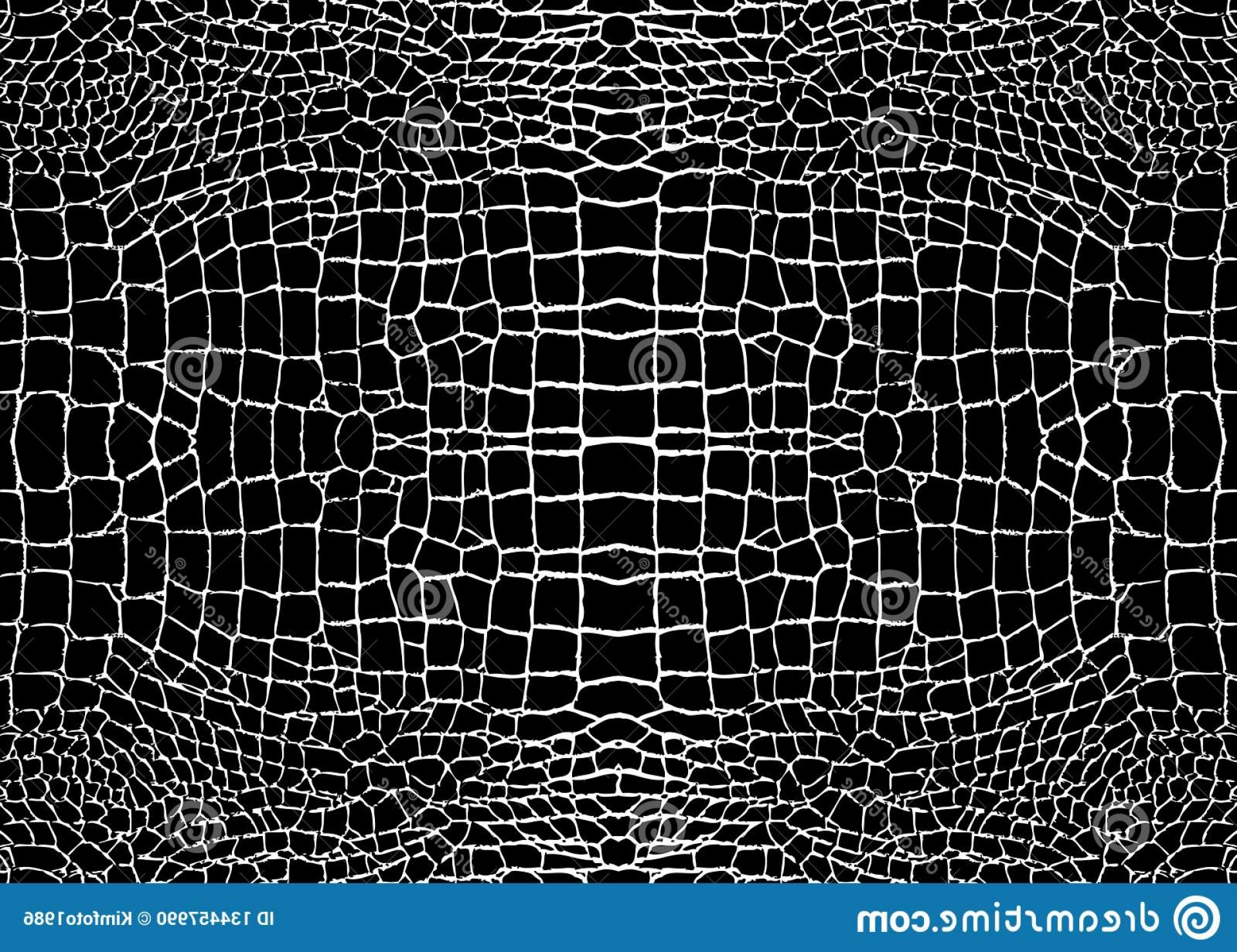 Snake Skin Vector at Vectorified.com | Collection of Snake Skin Vector ...