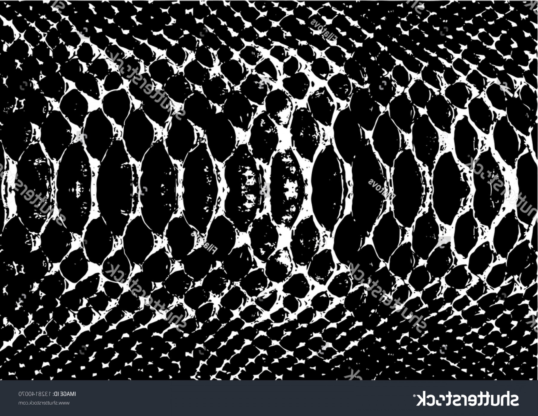 Snake Skin Vector At Vectorified.com 