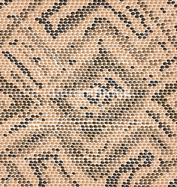 357x376 Free Snake Skin Vector Free Vector Download Cannypic