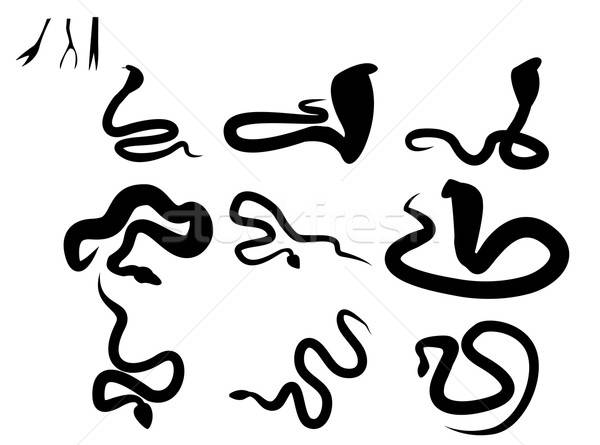 600x445 Set Of Black Silhouette Snake And Snake Tongue Vector Illustration