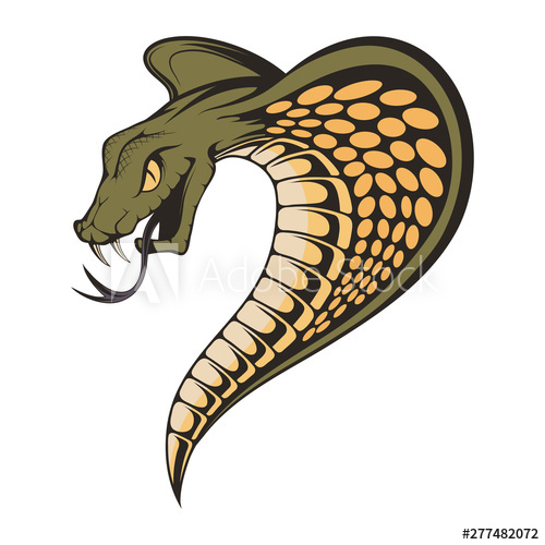 500x500 Vector Illustration Of A King Cobra With Hood Snake Cobra Is
