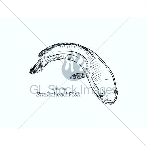 500x500 How To Draw A Snake Tongue