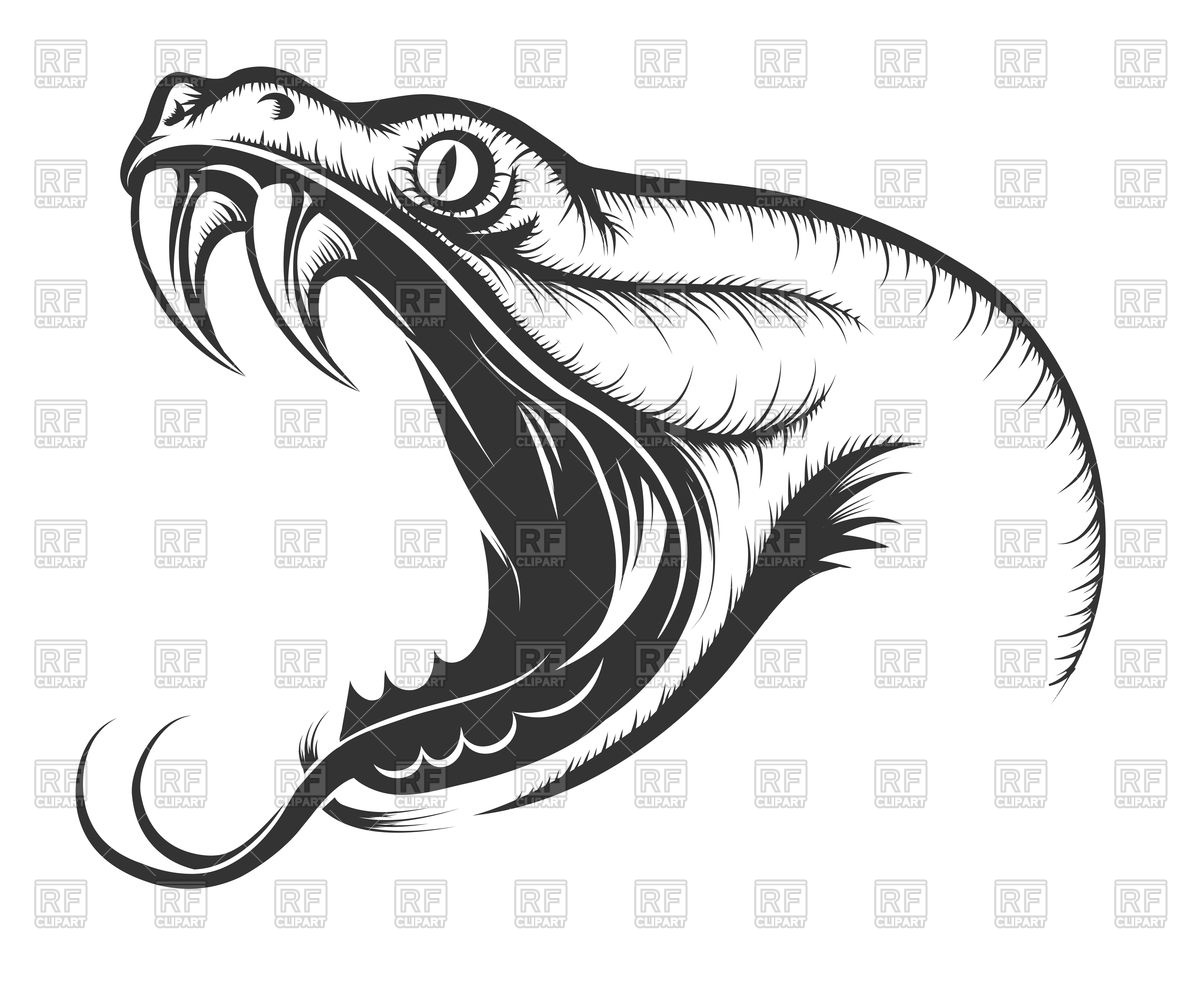 1200x984 Head Of Attacking Snake Vector Image Of Plants And Animals